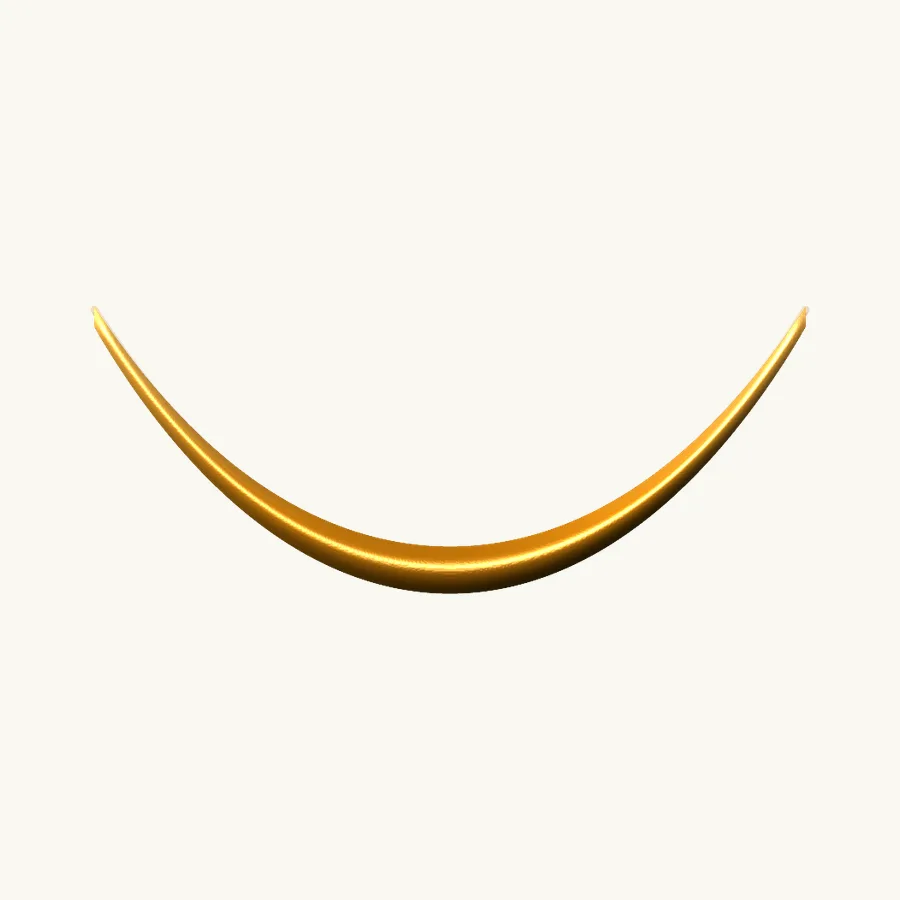 Snake Neck Chain